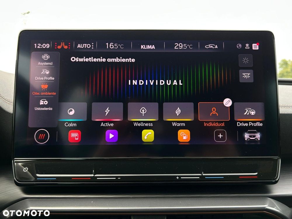 Cupra Formentor 1.5 TSI DSG - 32