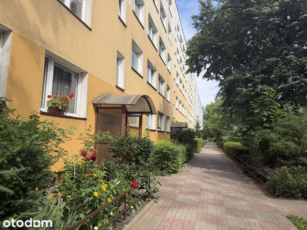SŁONECZNE po odświeżeniu 2 pokoje