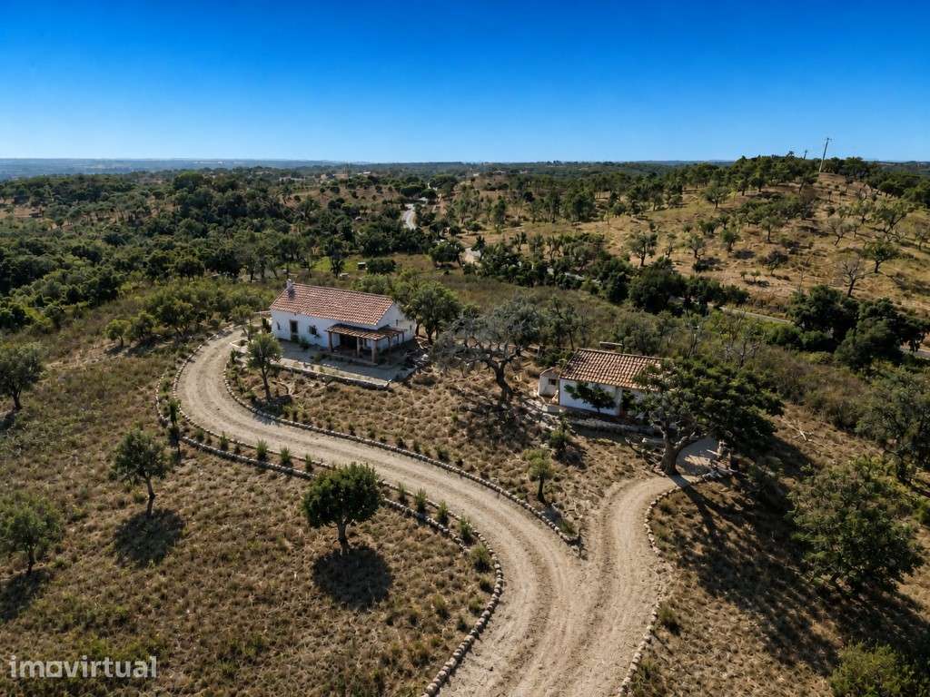 QUINTA, vista mar (5.575ha) - Grande imagem: 2/19
