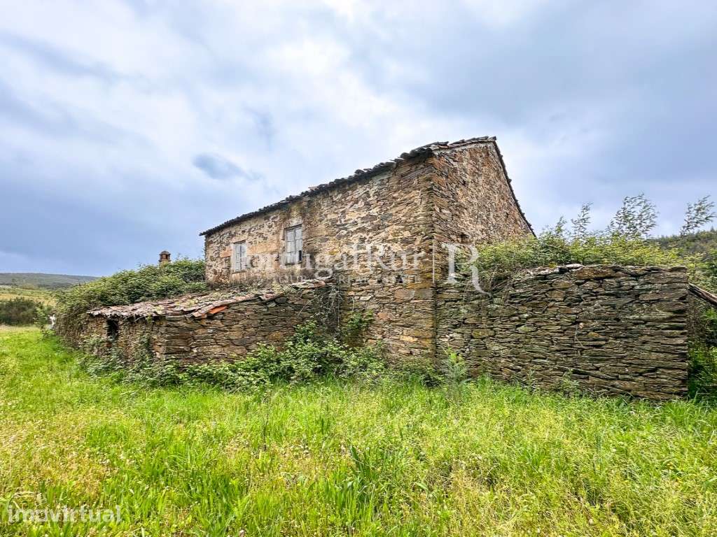 Quintinha de 5 Hectares em Enxames - Grande imagem: 3/45