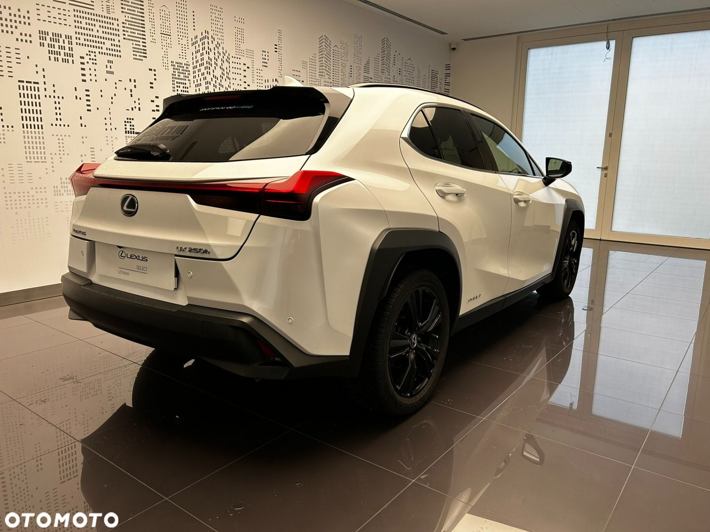 Lexus UX 250h GPF F Impression 2WD - 4