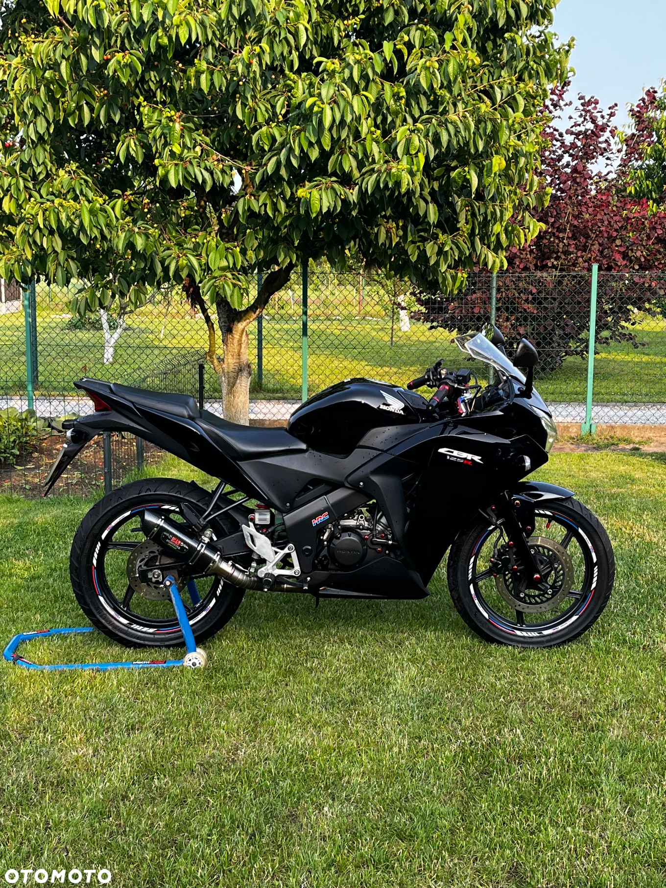 Honda CBR - 5