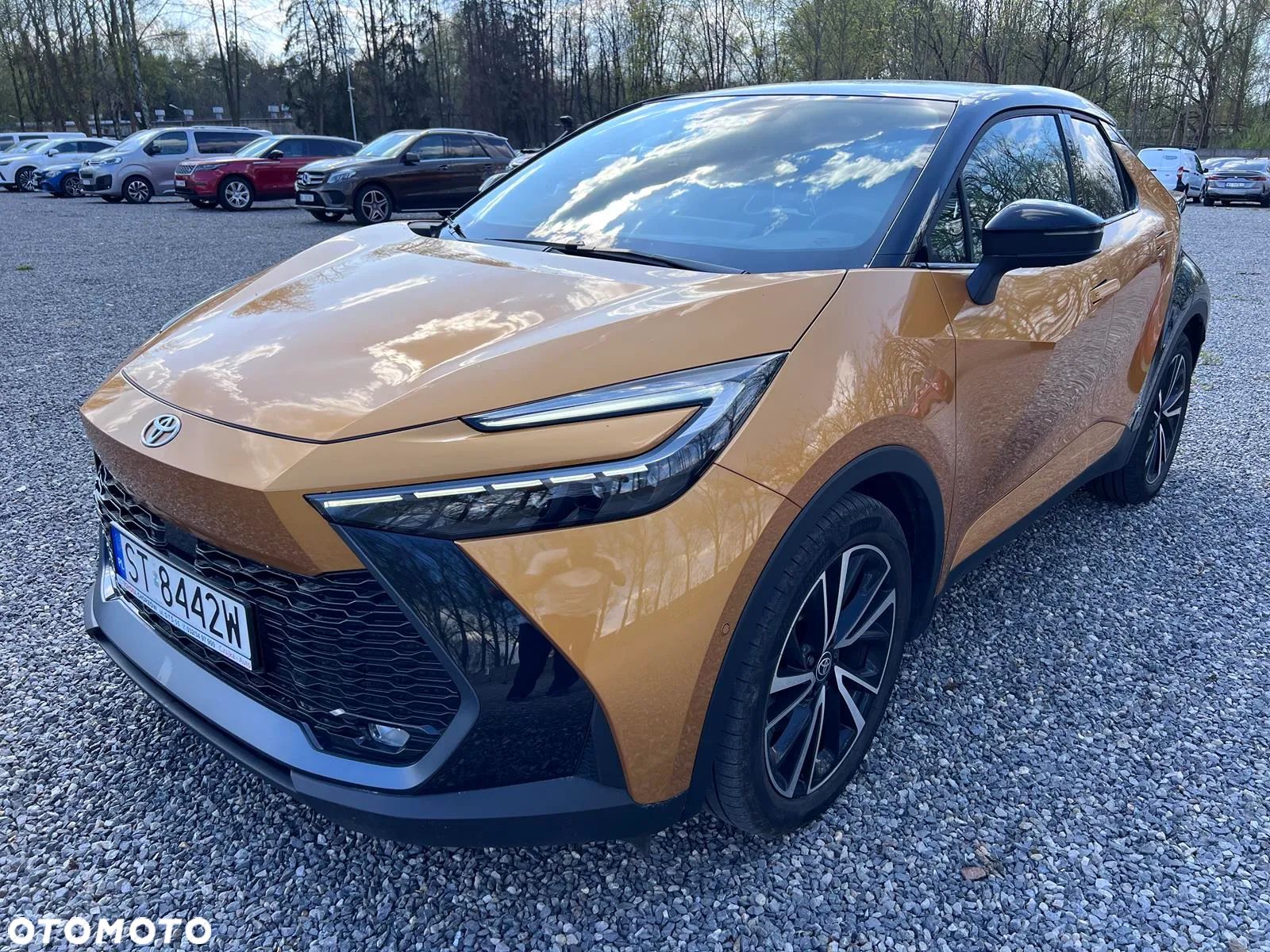 Toyota C-HR 2.0 PHEV Dynamic Force Executive - 1