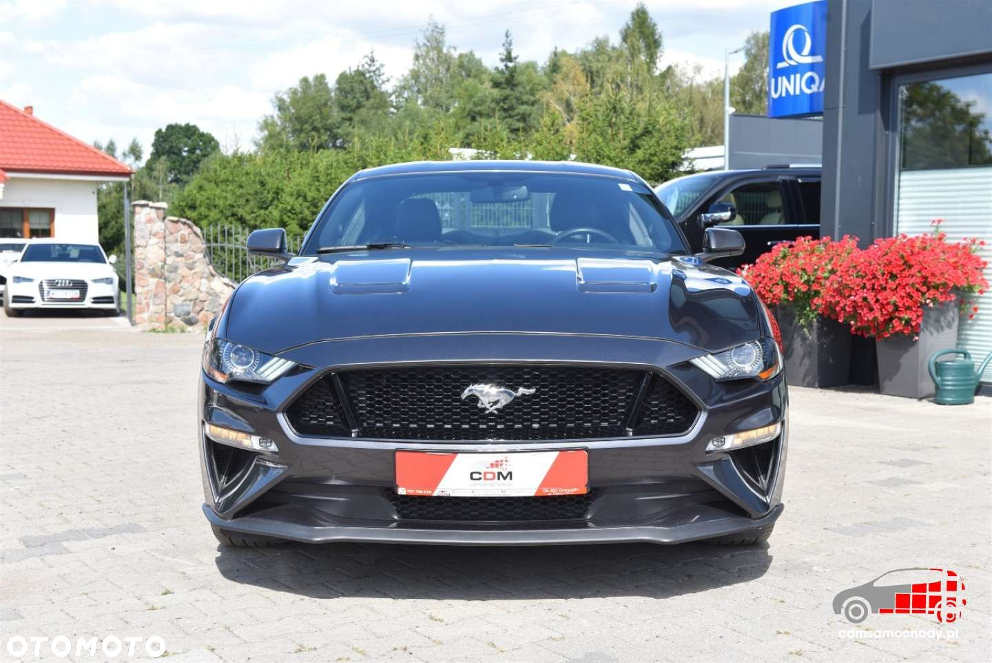 Ford Mustang 5.0 V8 GT - 5