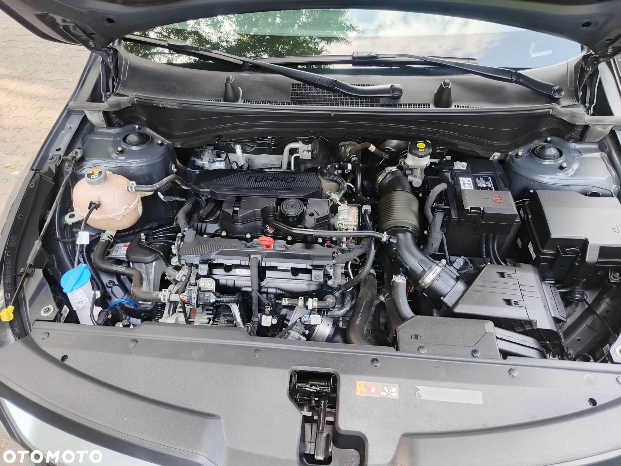 Kia Sportage - 23