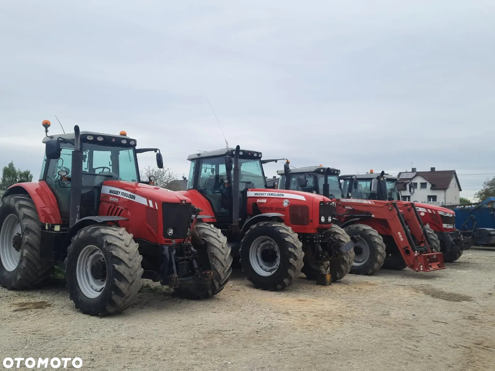 Massey Ferguson 6465 - 31