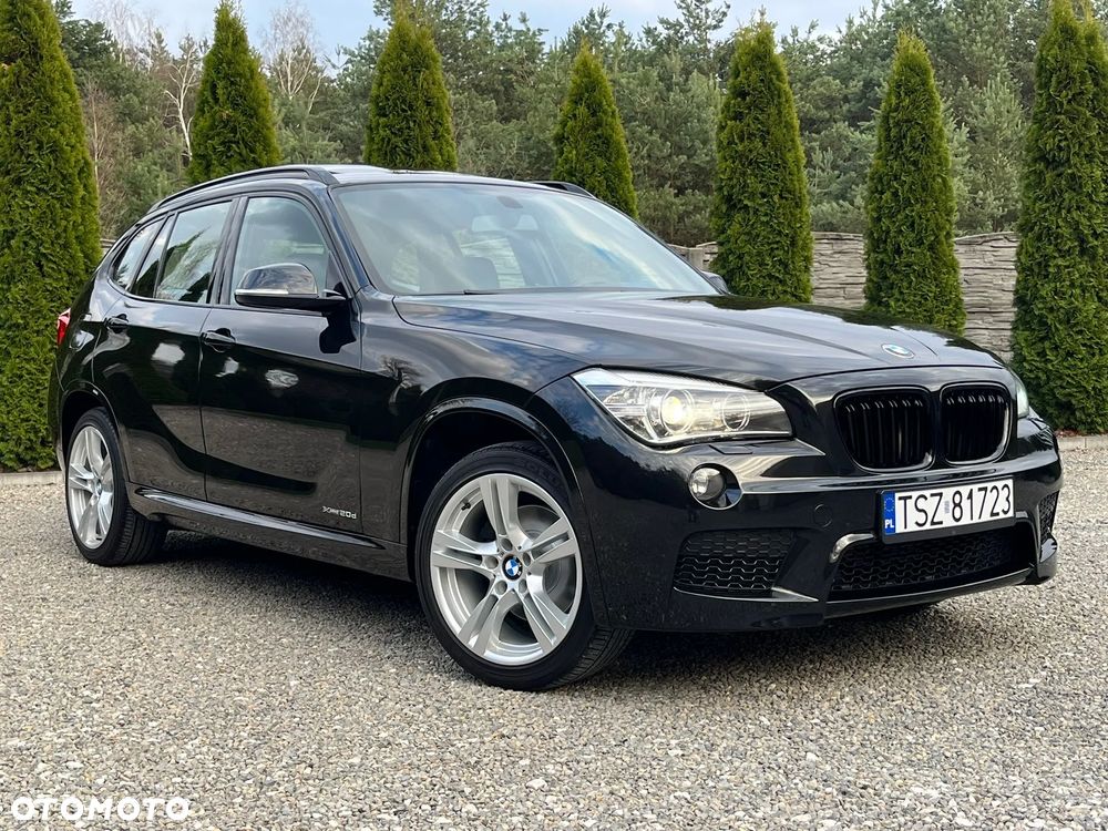 BMW X1 xDrive20d - 1