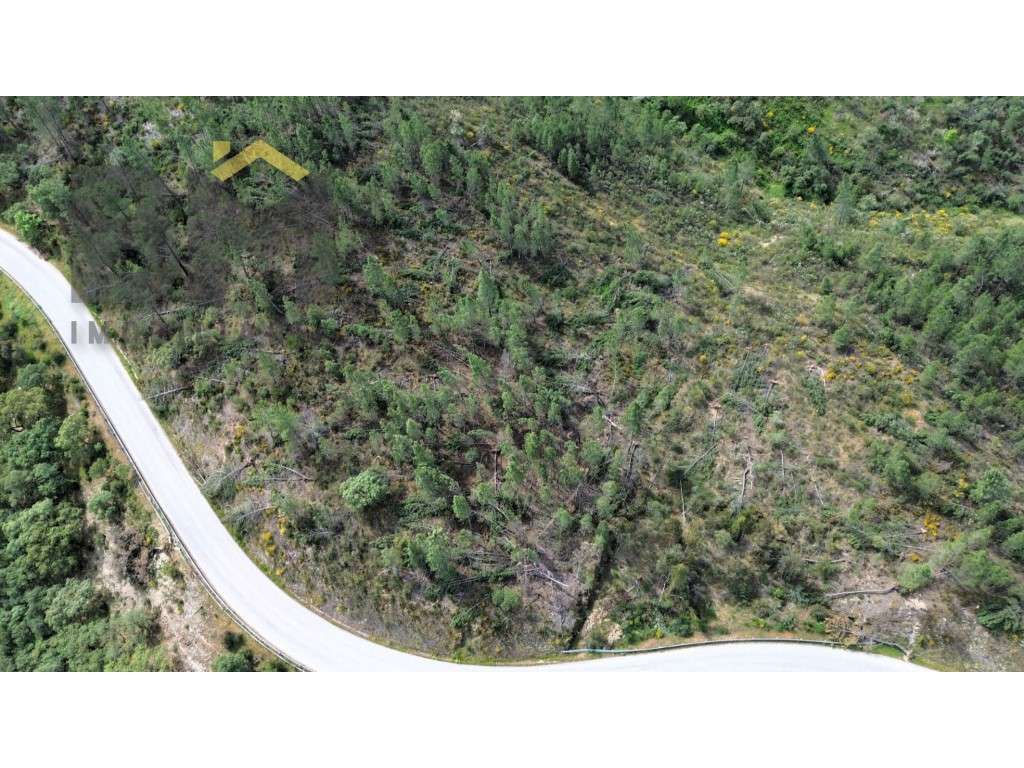 Terreno rústico com 34.320 m² para venda, localizado nas proximidad... - Grande imagem: 5/11