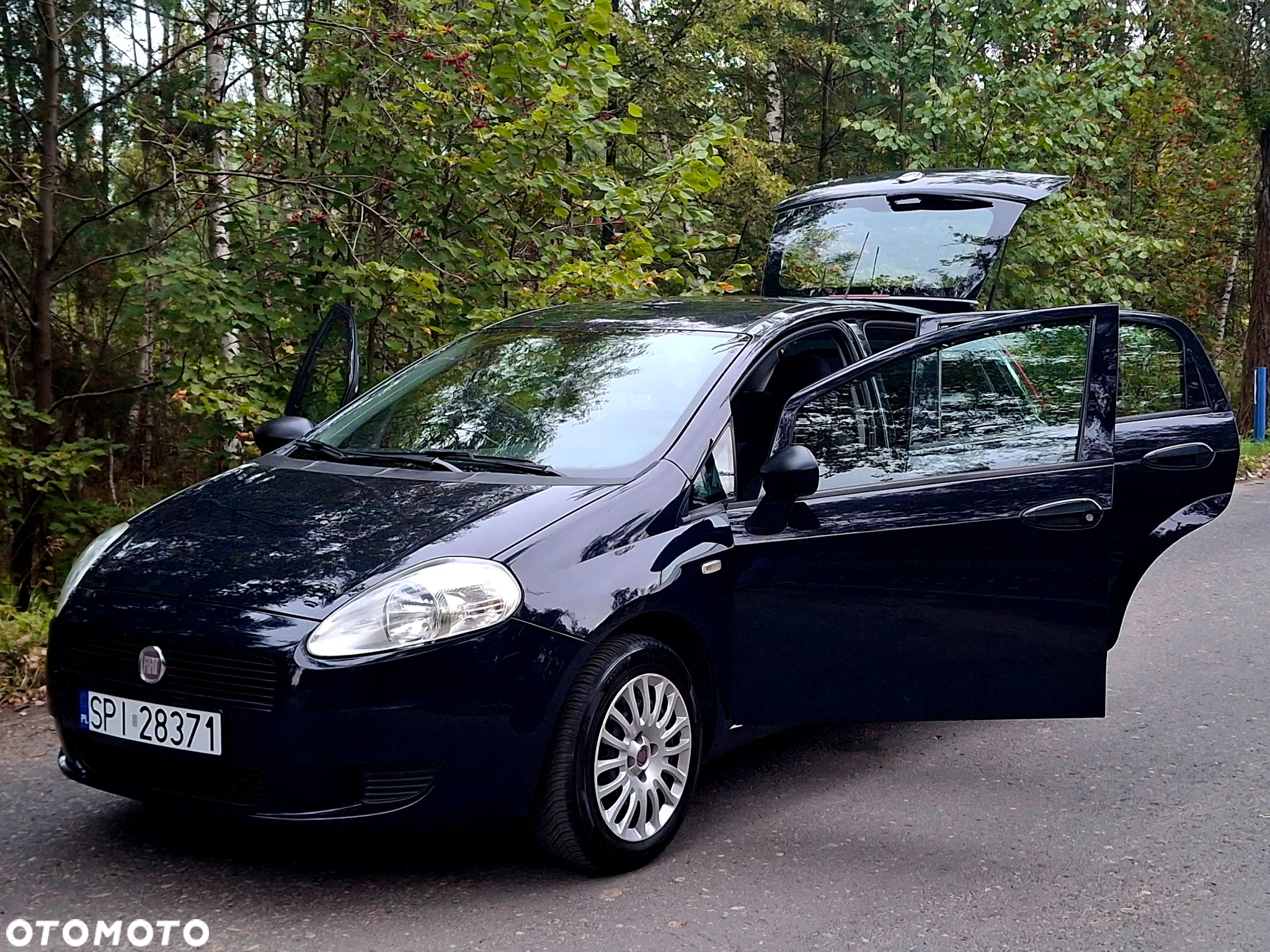 Fiat Grande Punto Actual 1.2 8V Estiva - 20