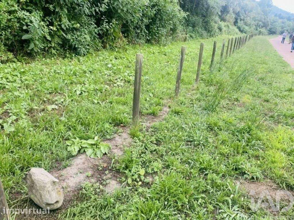 Terreno Agrícola em Loivo - Grande imagem: 5/17