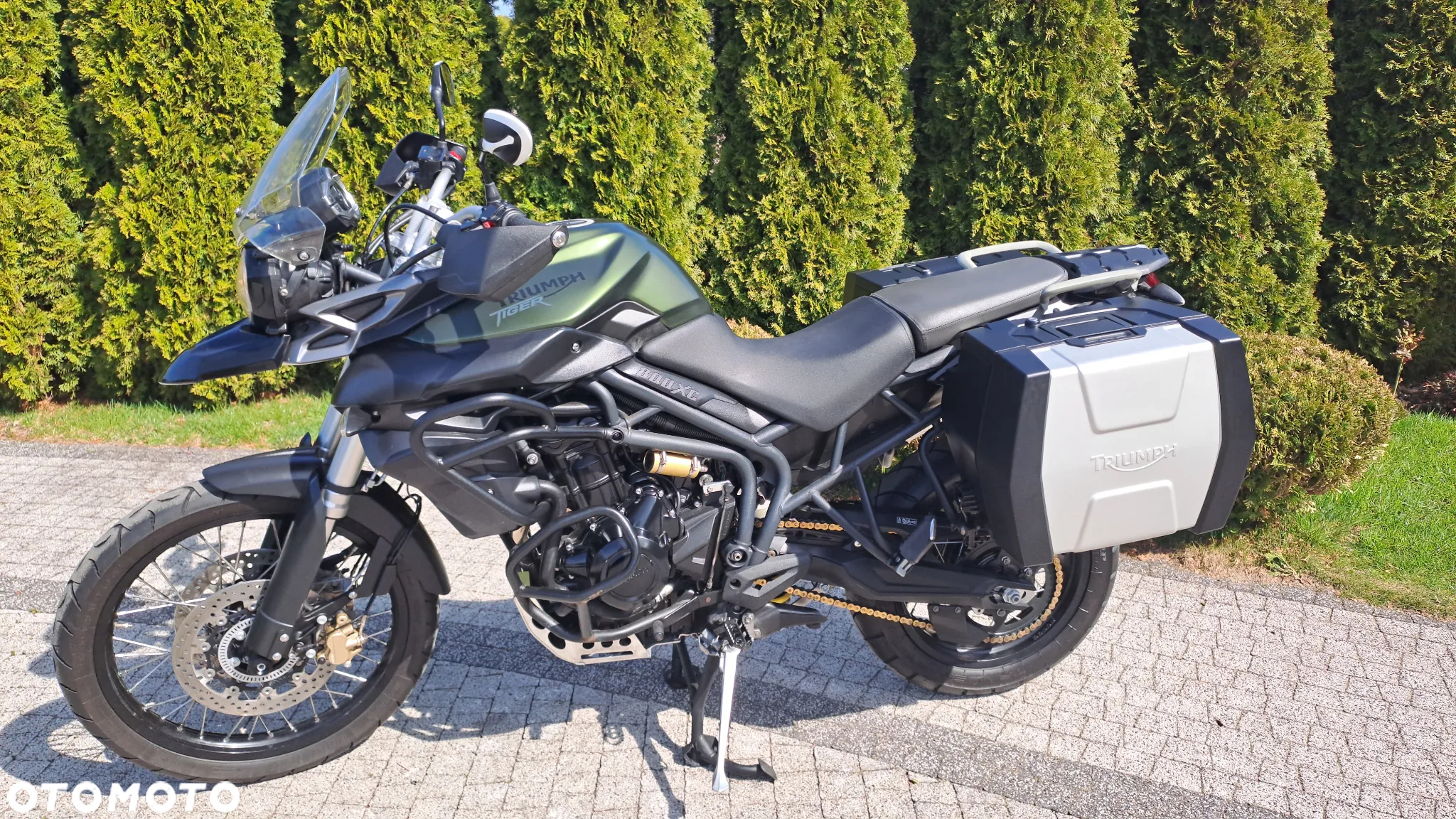 Triumph Tiger - 37