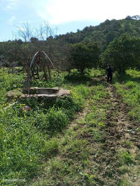 Terreno numa aldeia - Grande imagem: 4/5