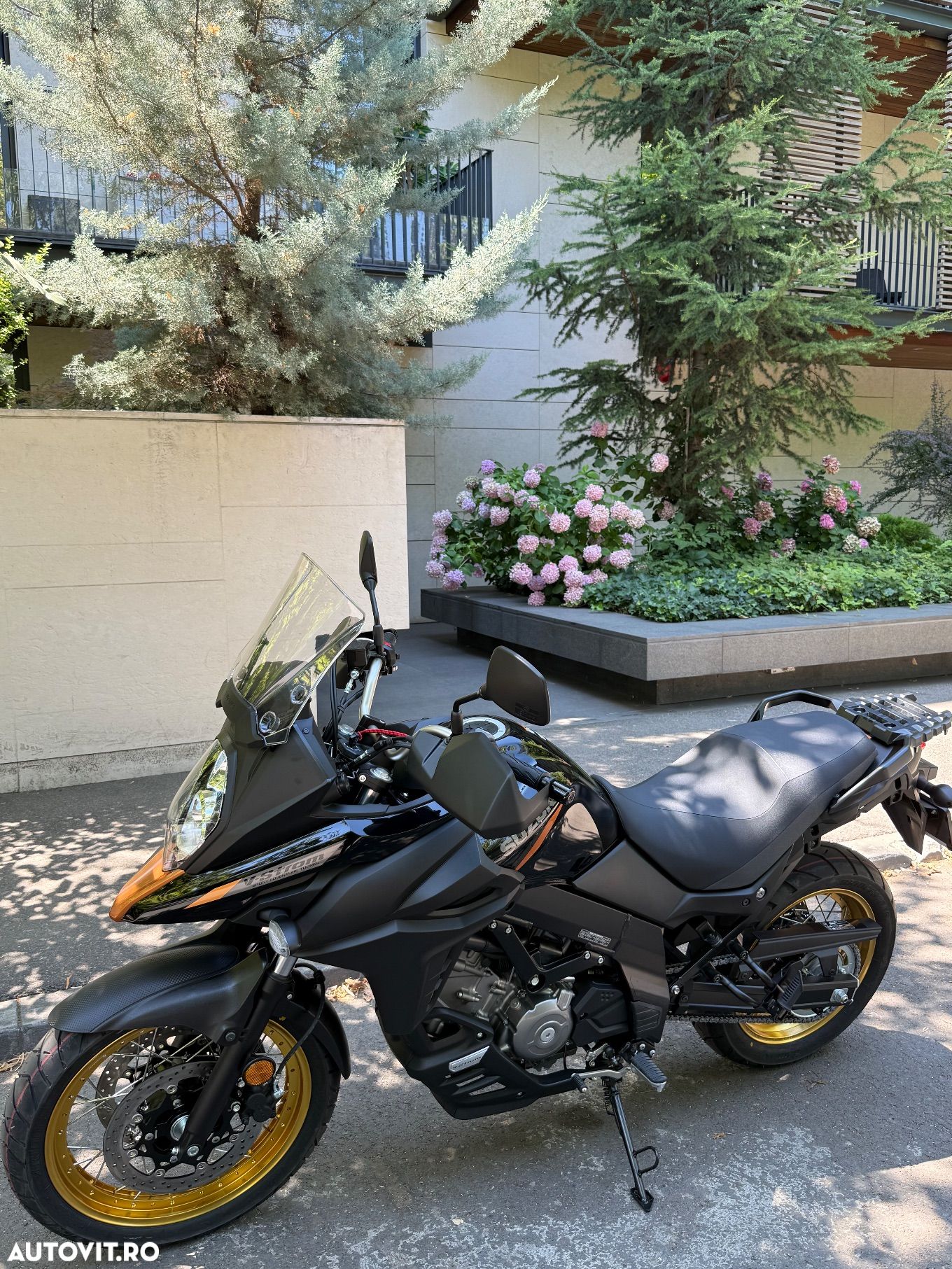 Suzuki DL 650XT V-Strom - 1