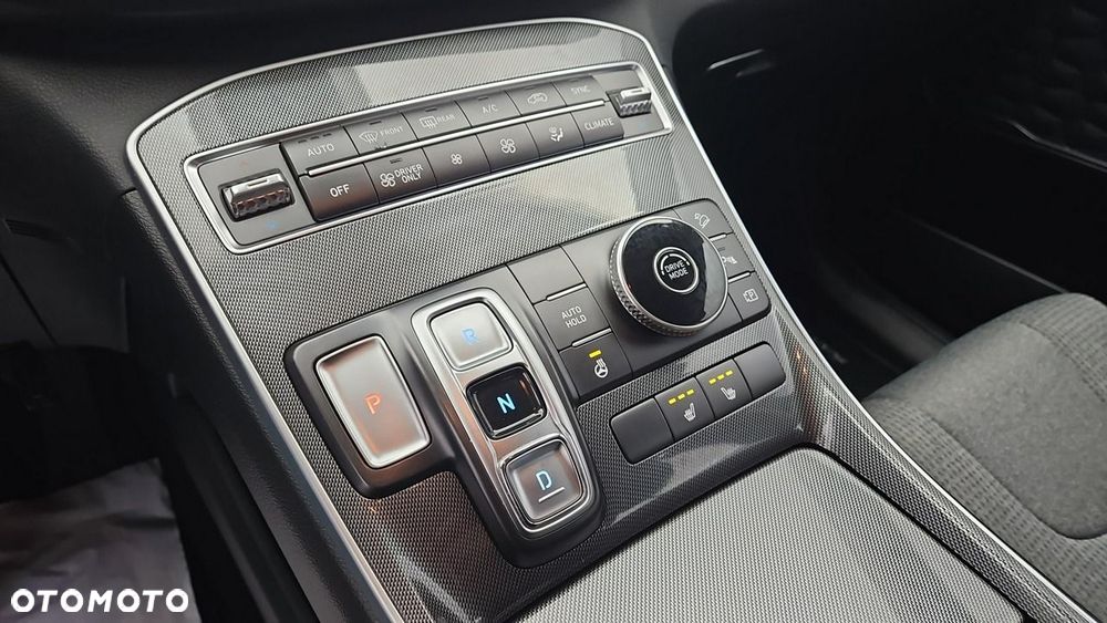 Hyundai Santa Fe - 19