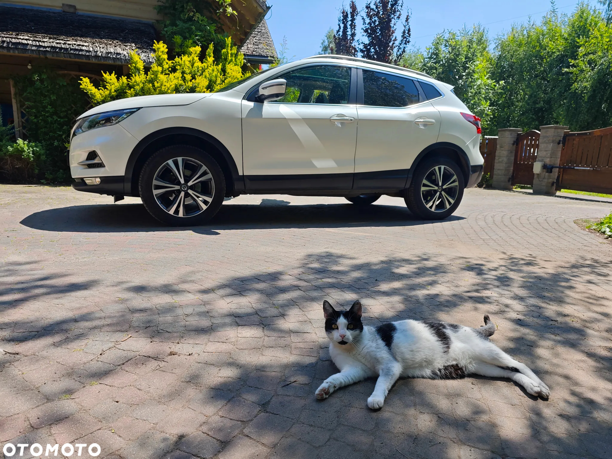 Nissan Qashqai 1.6 DIG-T N-Connecta - 7