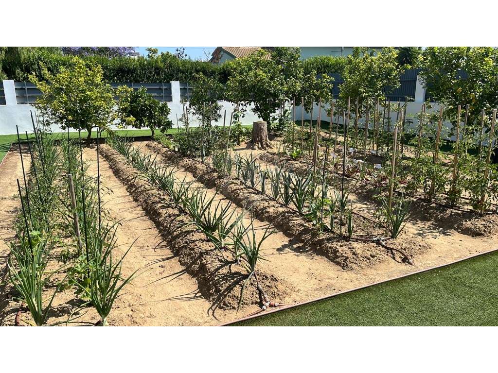 Moradia independente T3 Oleiros Azeitão - Grande imagem: 5/56