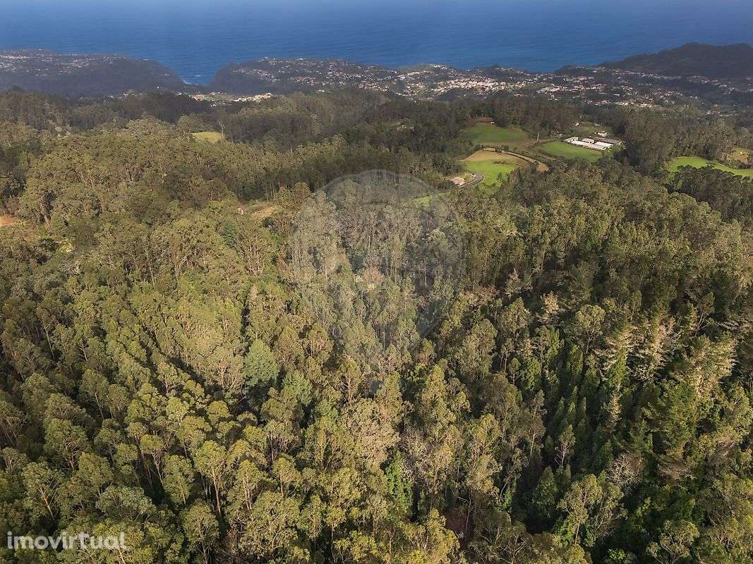 Terreno  para venda - Grande imagem: 2/14