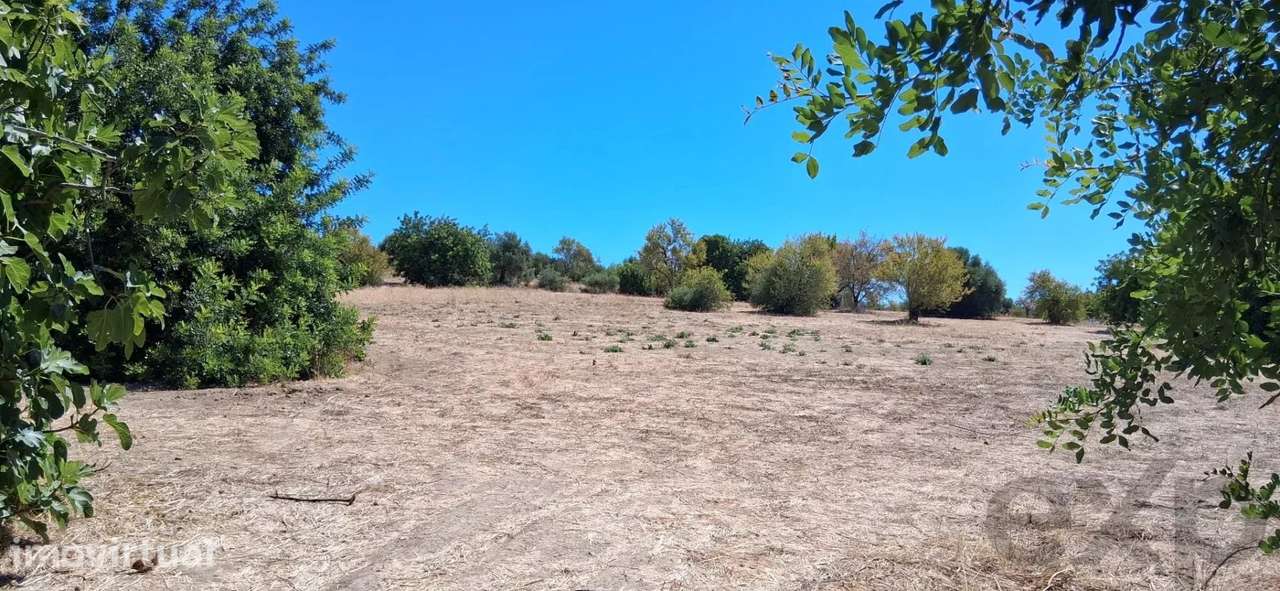 Terreno para Desenvolvimento Urbanístico – Estiramantens, Tavira - Grande imagem: 3/8