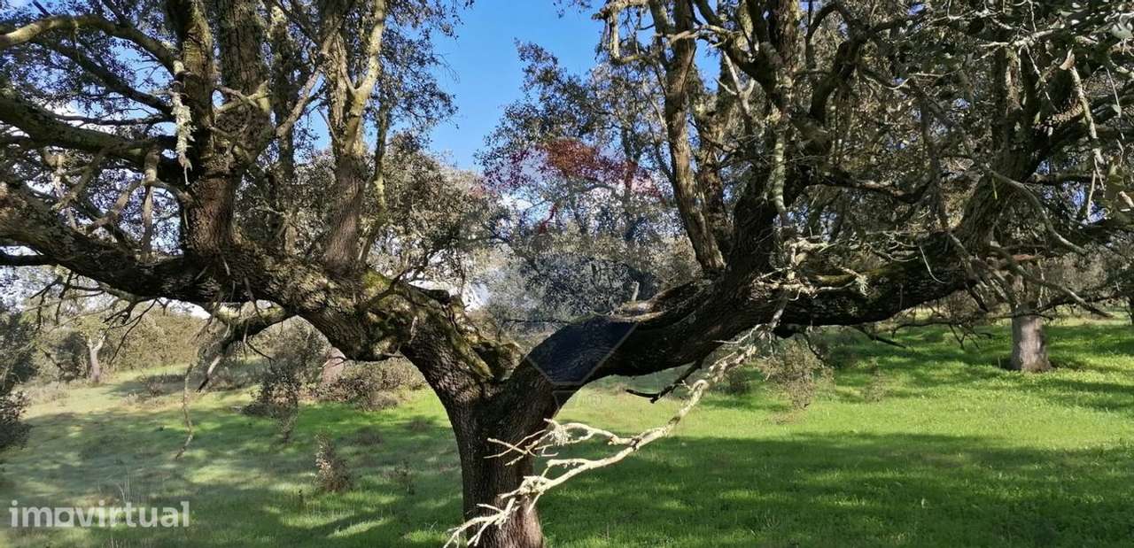 Terreno  para venda - Grande imagem: 2/20