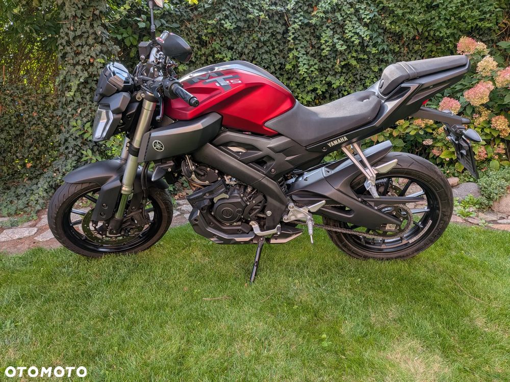 Yamaha MT - 23