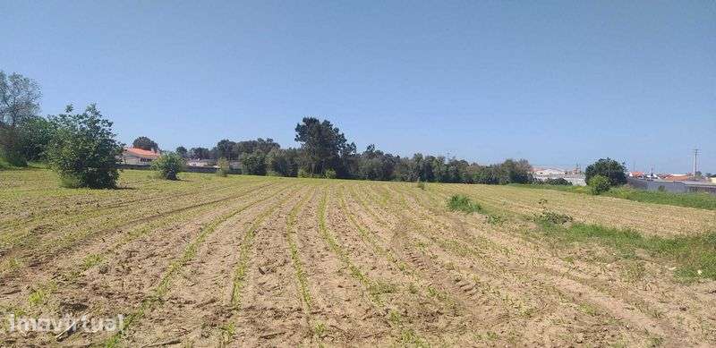 Terreno urbano com viabilidade de construção em Paião