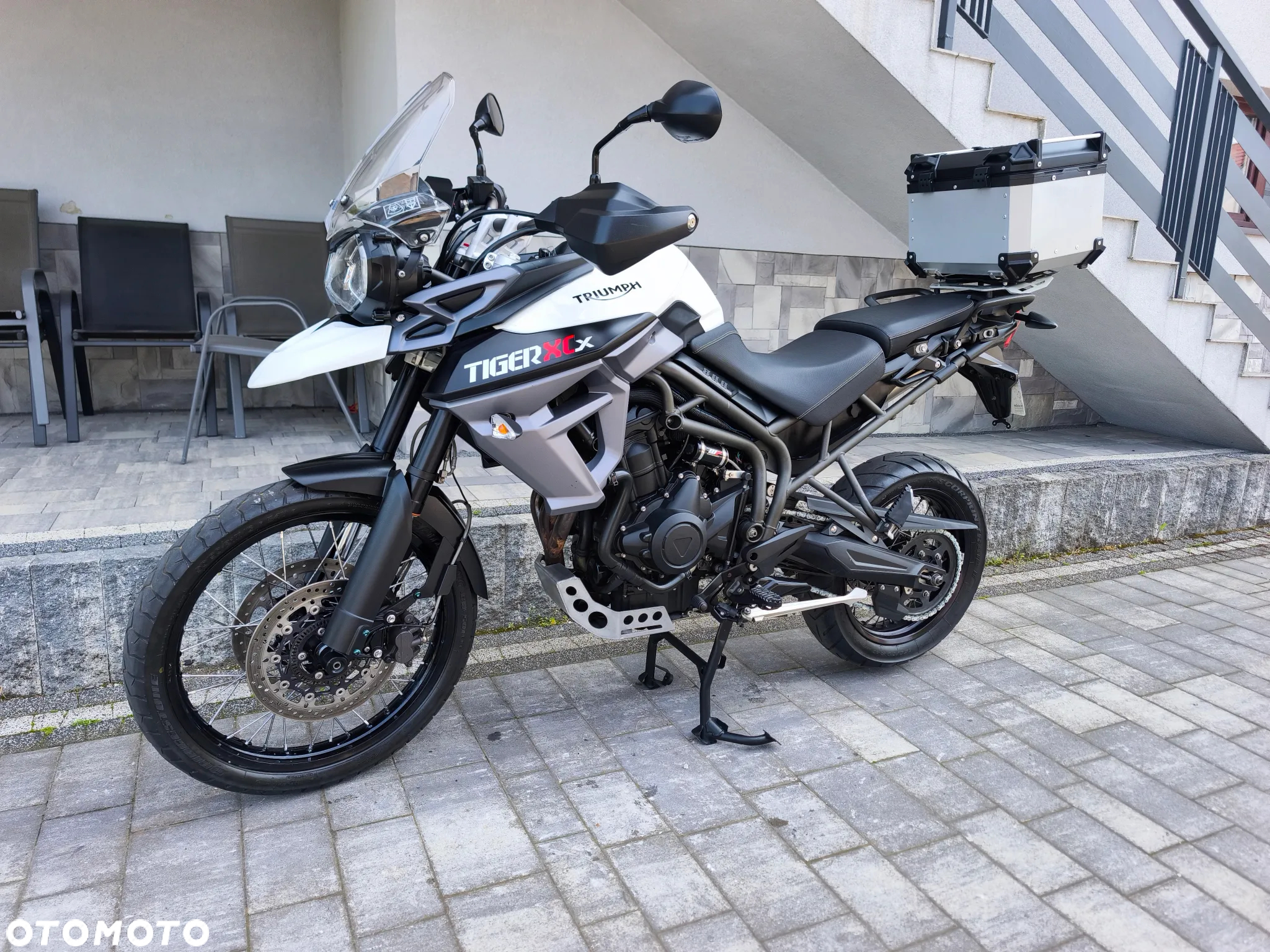 Triumph Tiger - 4