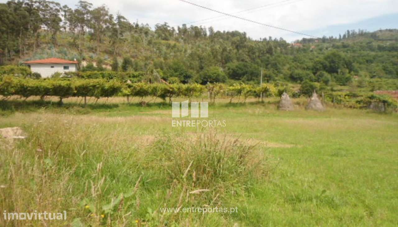 Venda Terreno, Sande, Marco de Canaveses - Grande imagem: 5/17