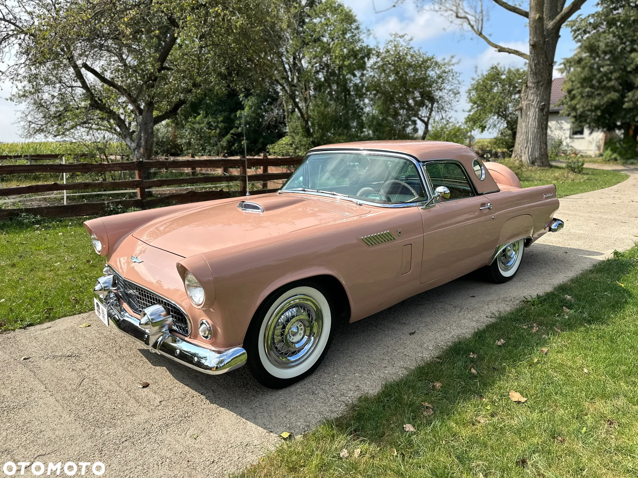 Ford Thunderbird - 7