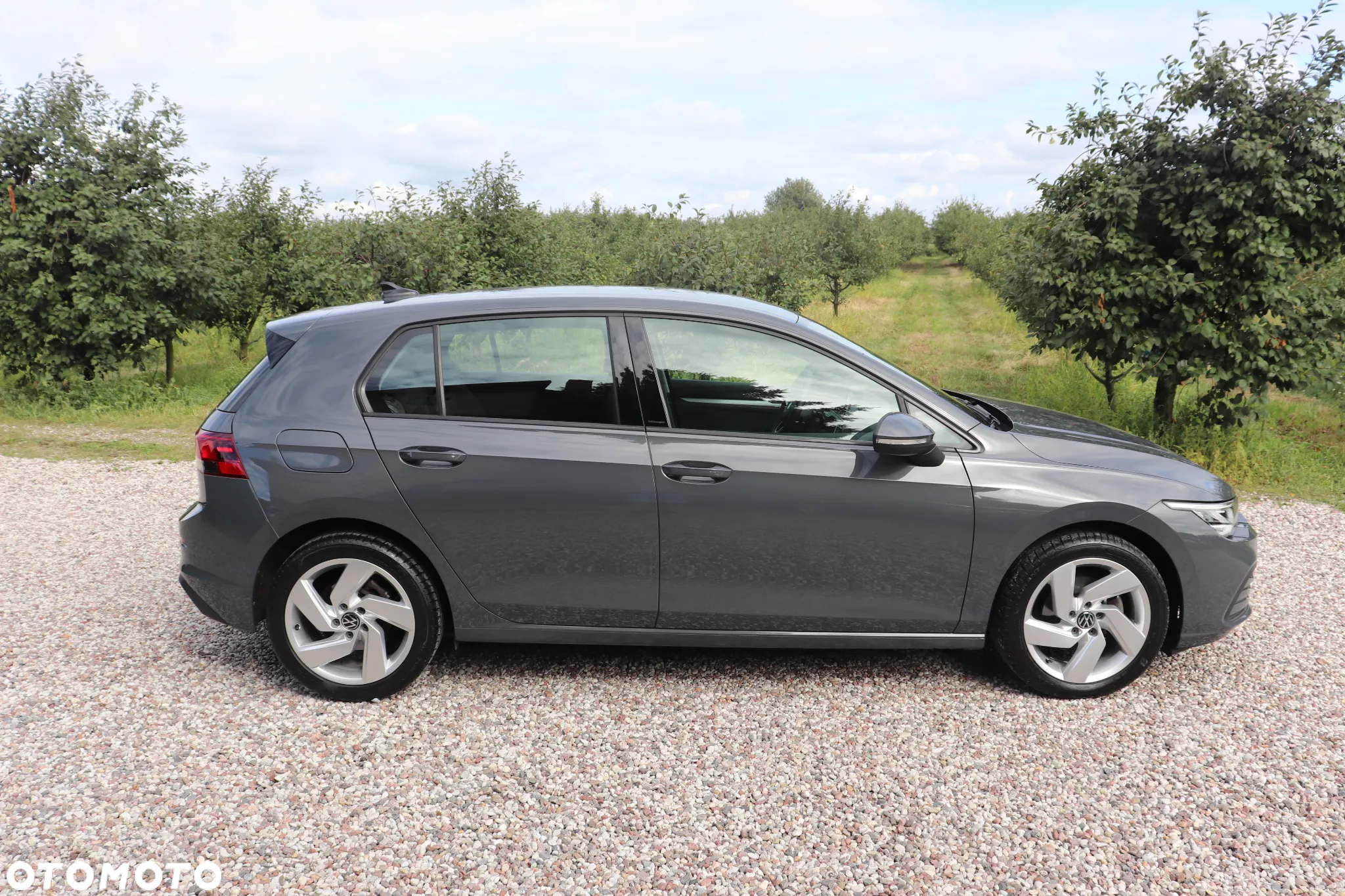 Volkswagen Golf VIII 2.0 TDI Life Plus - 7