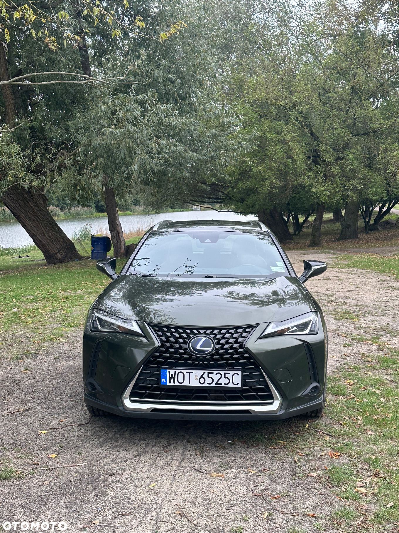 Lexus UX 250h GPF Prestige AWD - 2