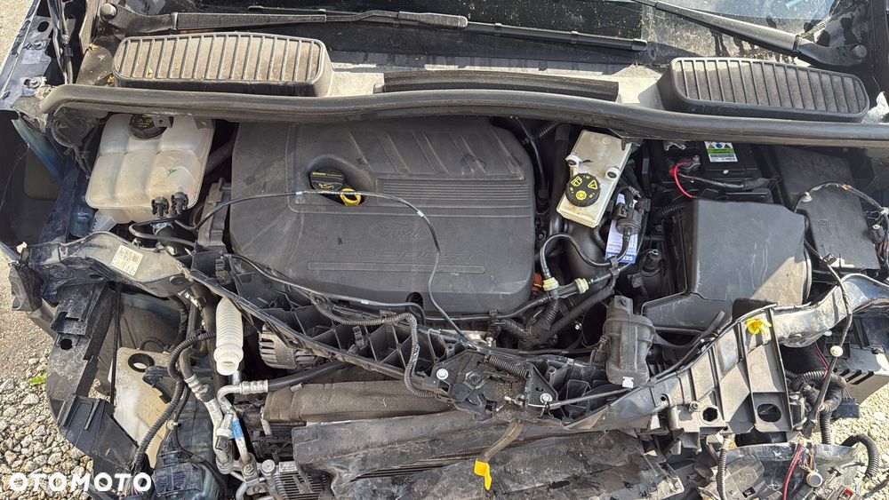 Ford Grand C-MAX 1.5 EcoBoost Start-Stopp-System Business Edition - 13