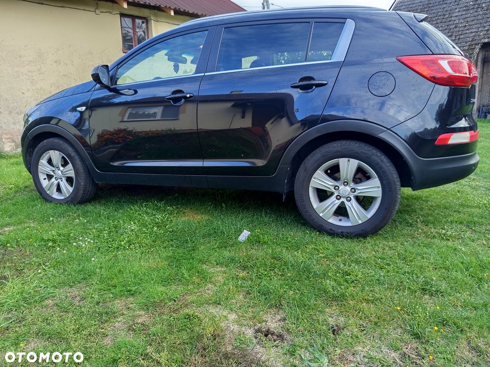 Kia Sportage - 1