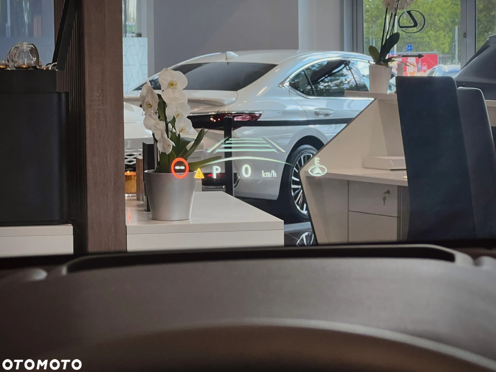 Lexus NX 350h Overtrail AWD - 17