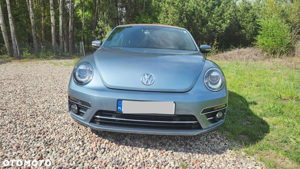 Volkswagen Beetle - 3