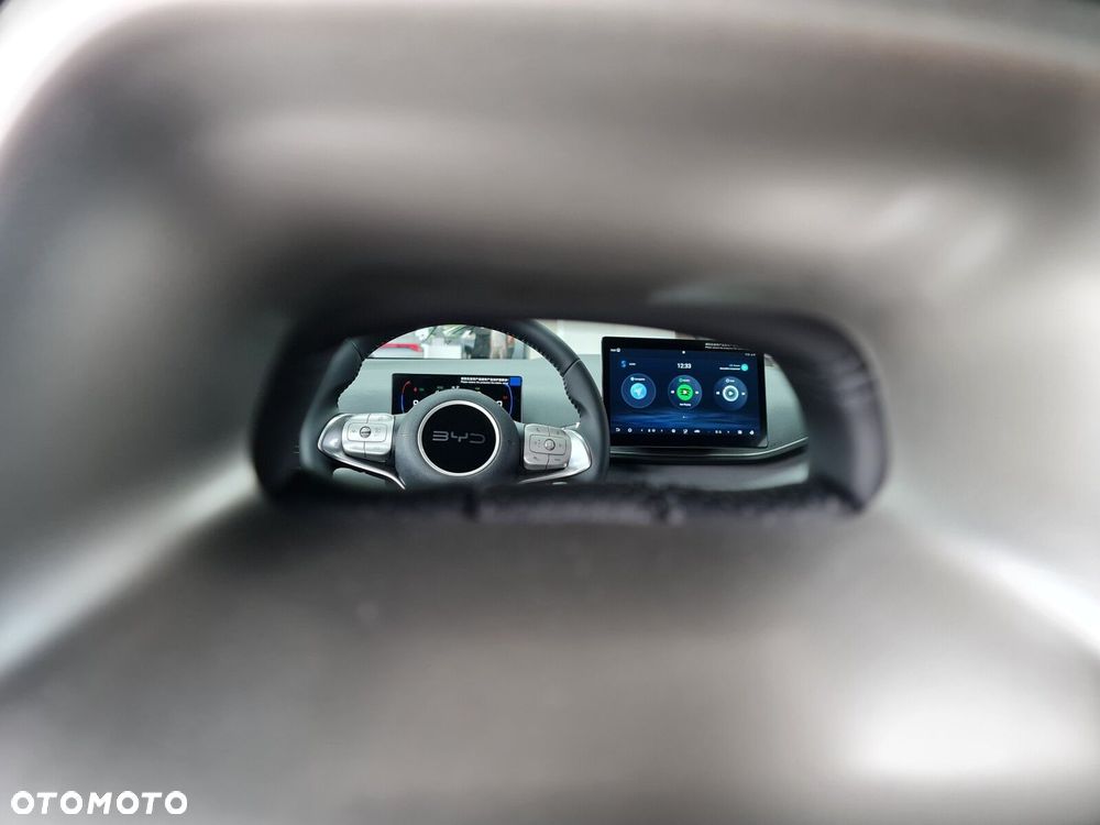 BYD Dolphin Surf - 18