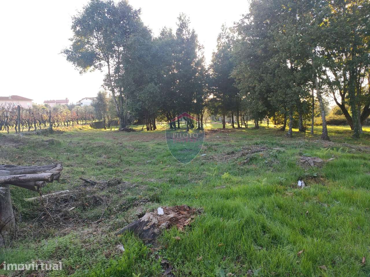 Terreno Para Construção  Venda em Silgueiros,Viseu - Grande imagem: 3/26