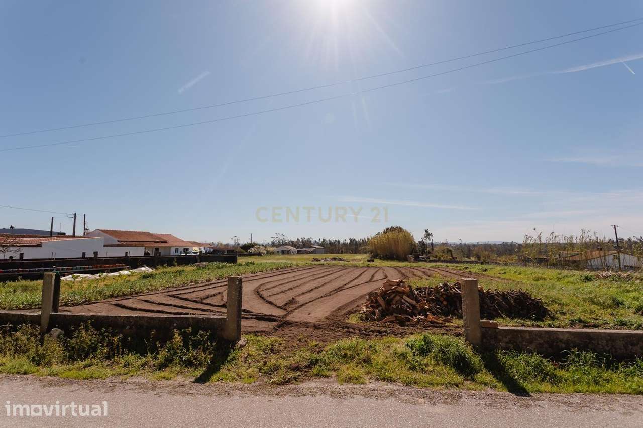 Terreno em Monte Real, Leiria - Grande imagem: 3/13