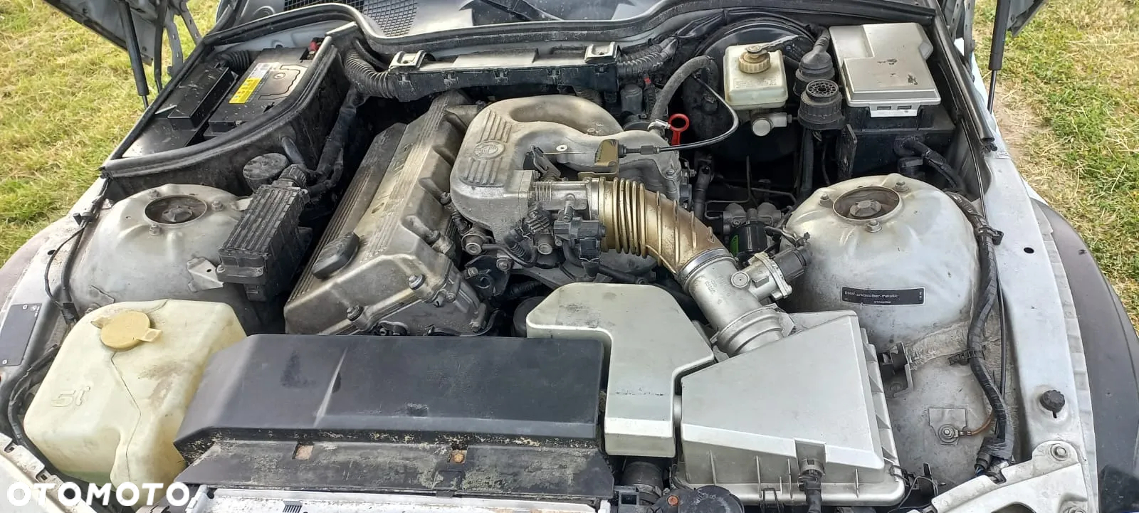 BMW Z3 1.9 - 7