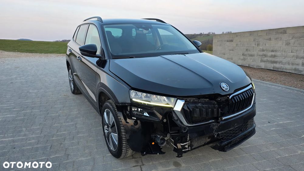 Skoda Karoq - 3