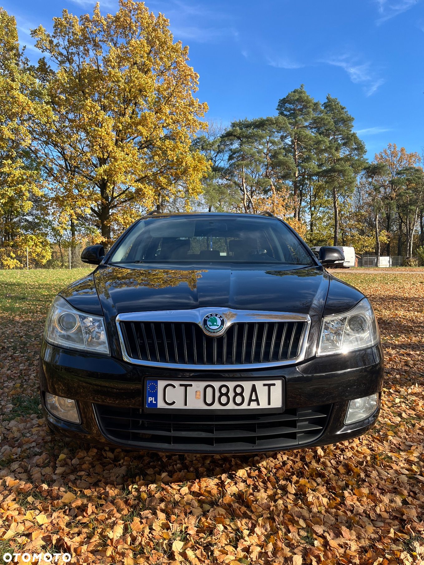 Skoda Octavia 2.0 TDI Ambiente - 1
