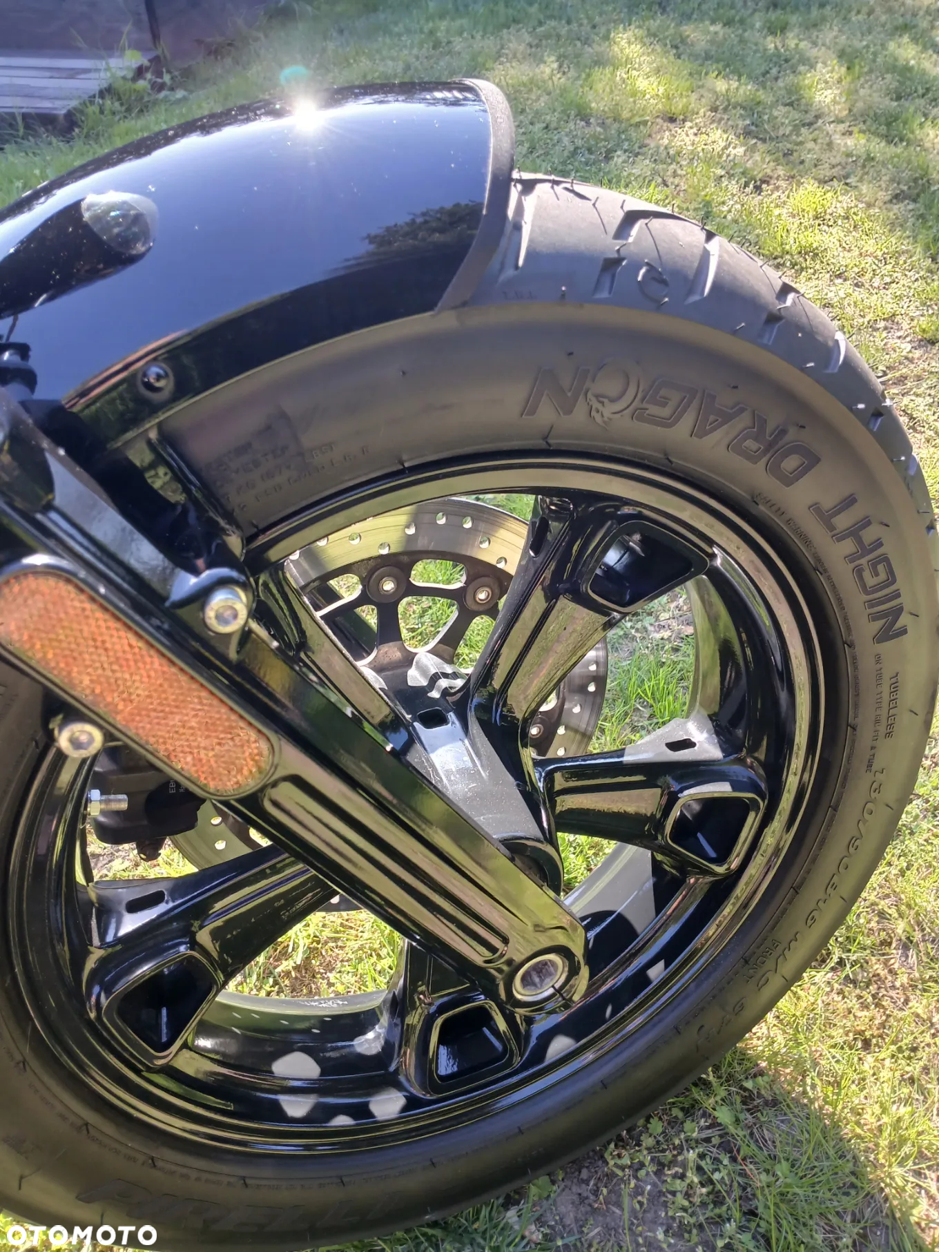 Indian Scout - 27