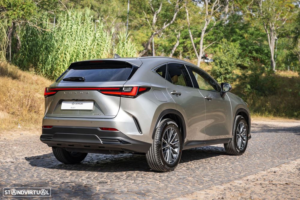 Lexus NX 450h+ - 5