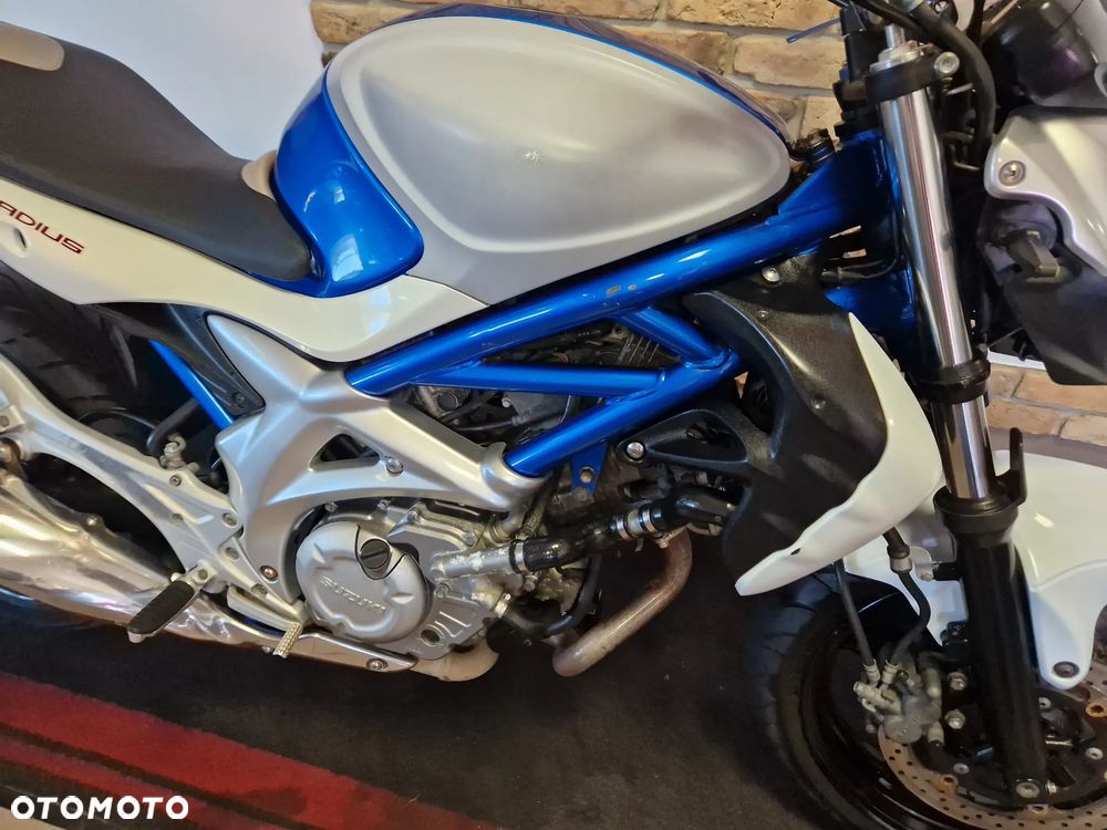 Suzuki Gladius - 23