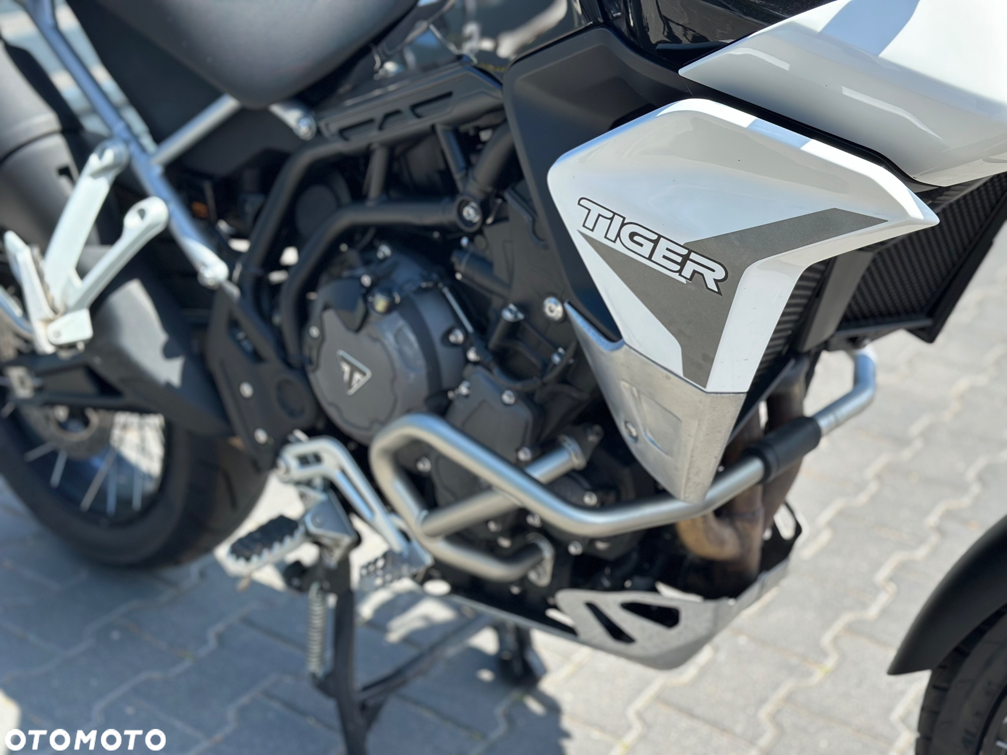 Triumph Tiger - 21