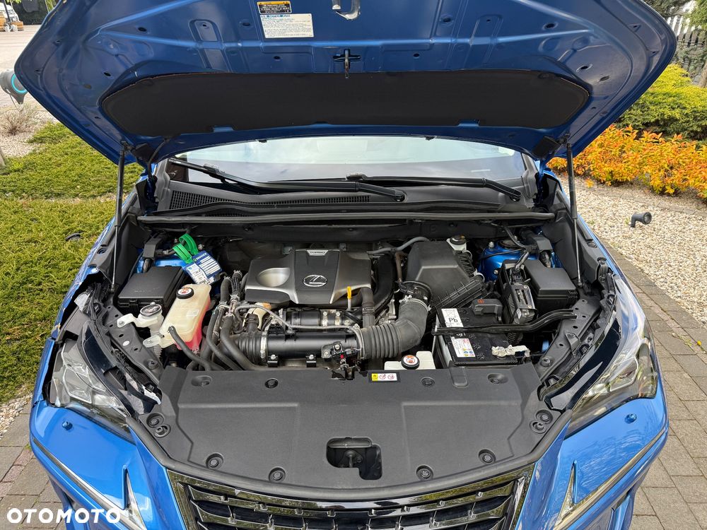 Lexus NX 300 F Impression AWD - 12