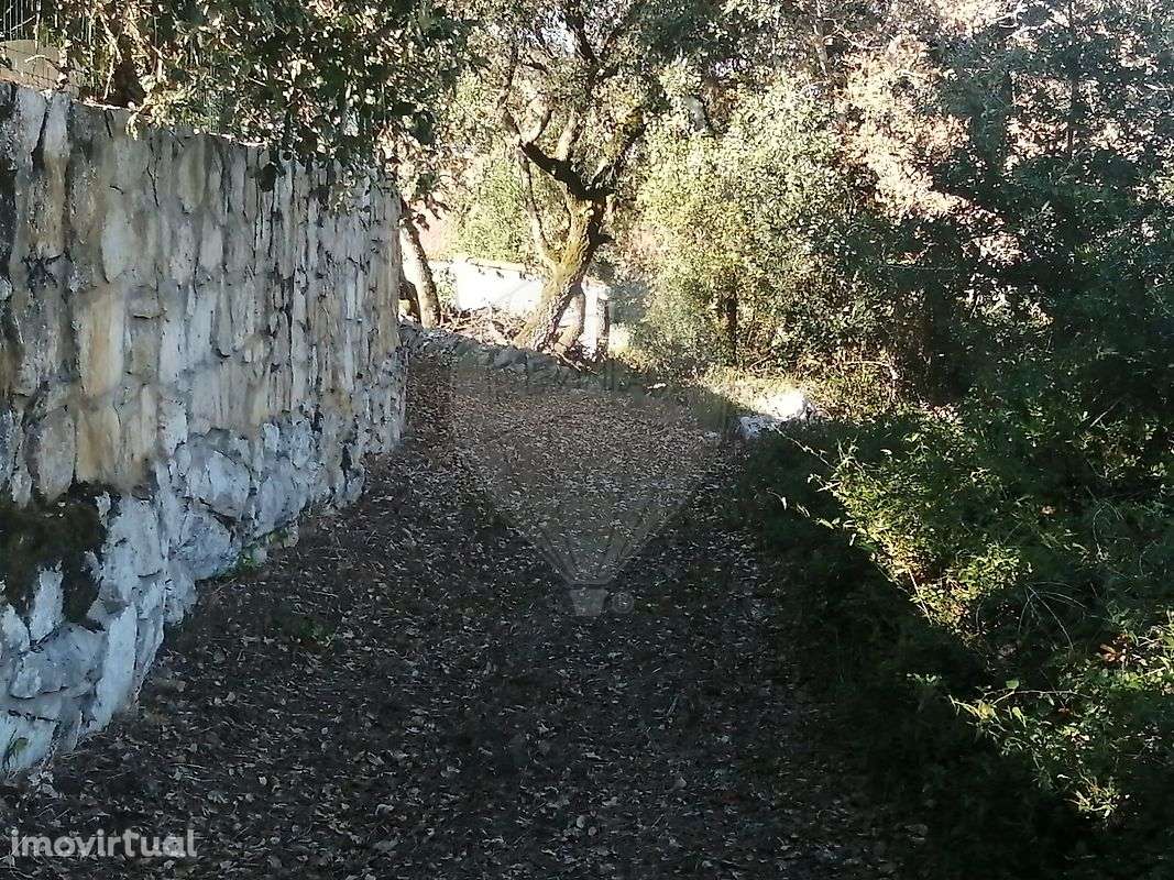 Terreno  para venda - Grande imagem: 5/7