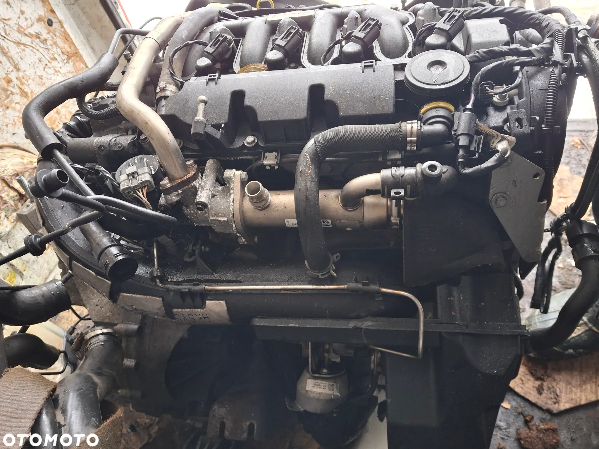 Silnik Ford Volvo D4204T 7G9Q6007 z Niemiec - 6