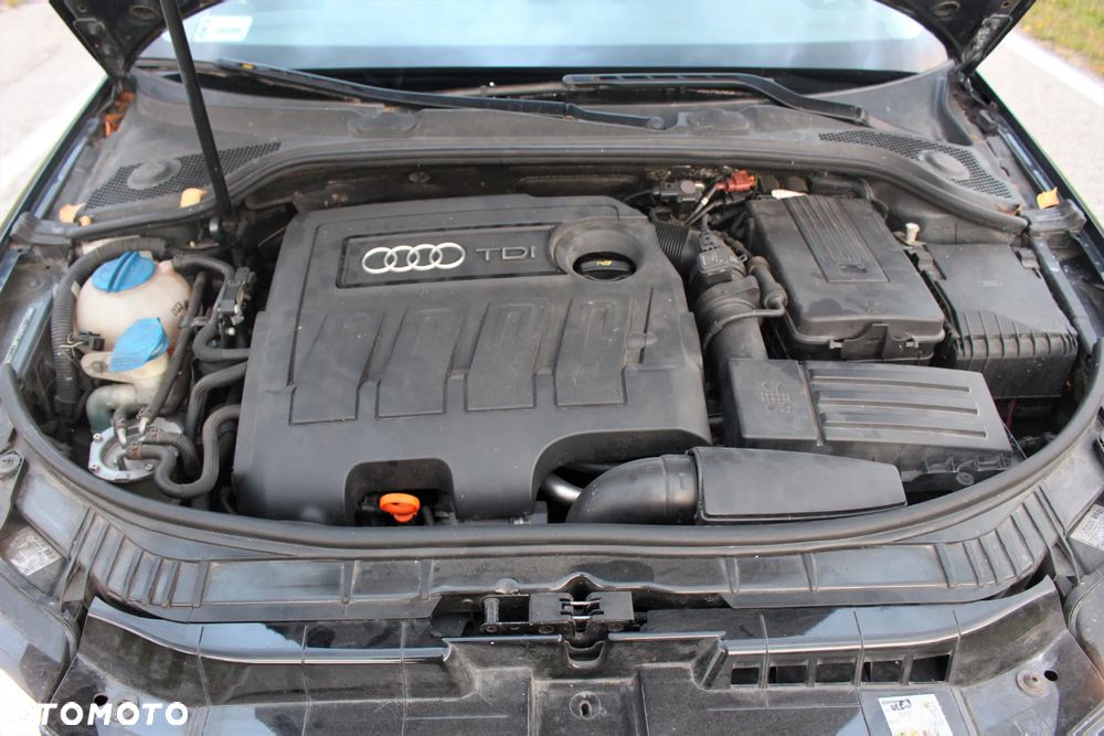 Audi A3 1.6 TDI DPF Attraction - 13