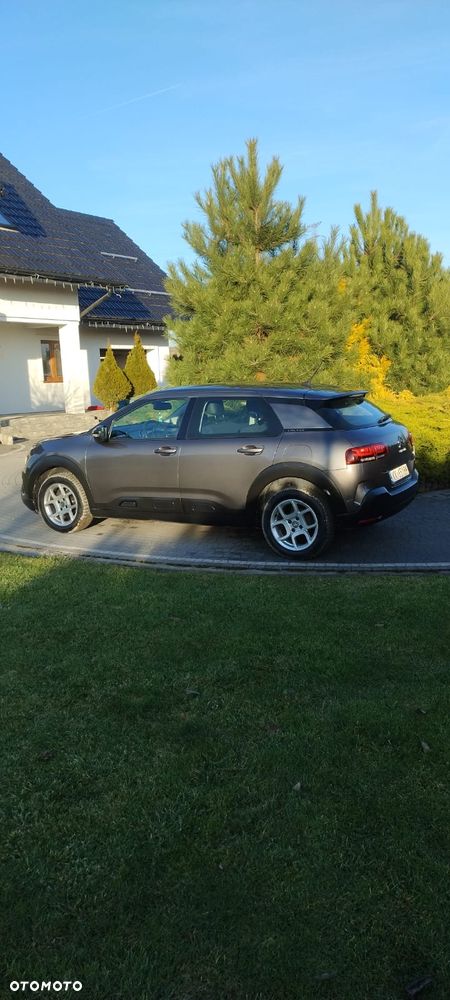 Citroën C4 Cactus 1.2 PureTech Feel S&S - 14
