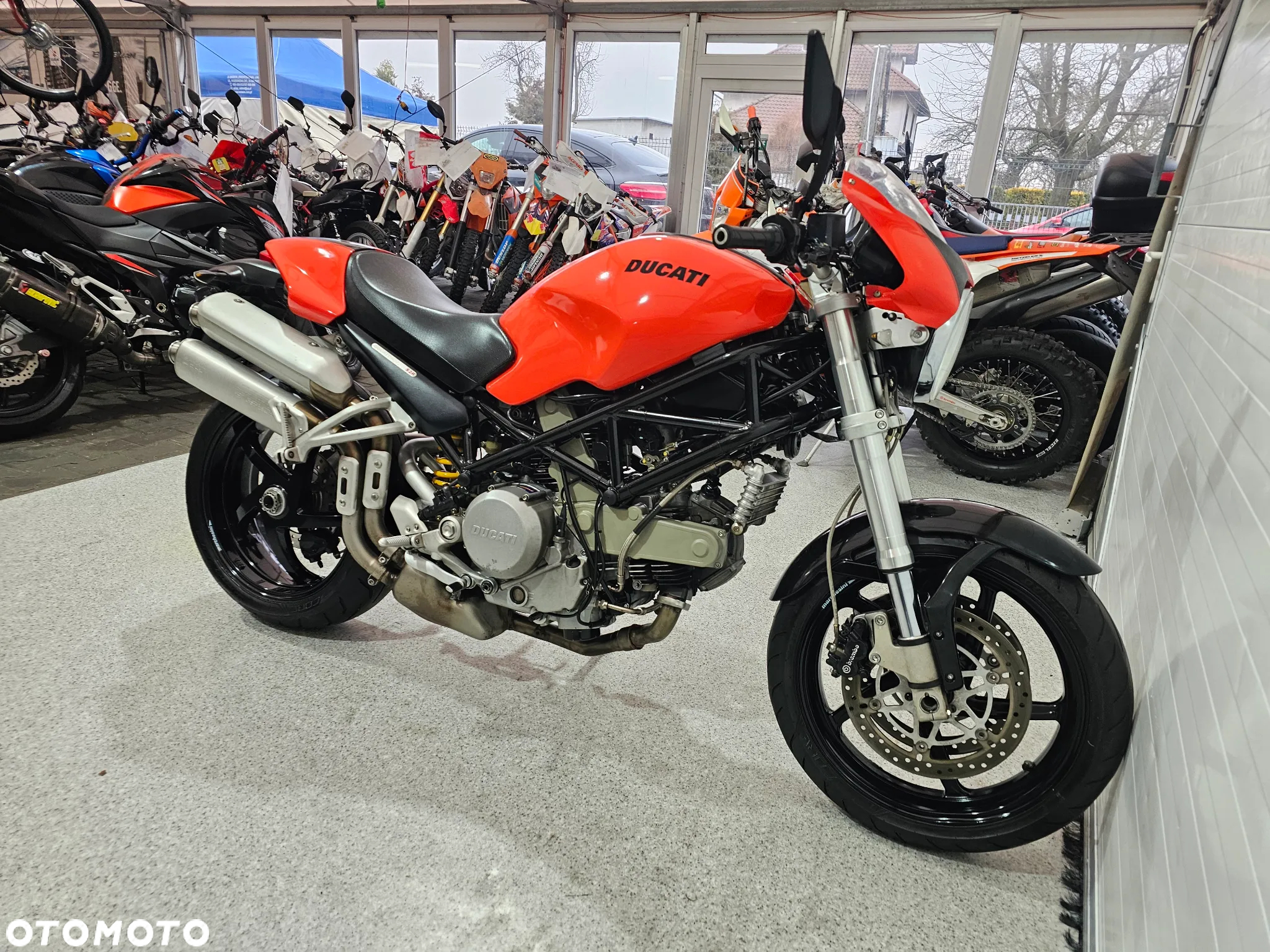 Ducati Monster - 27